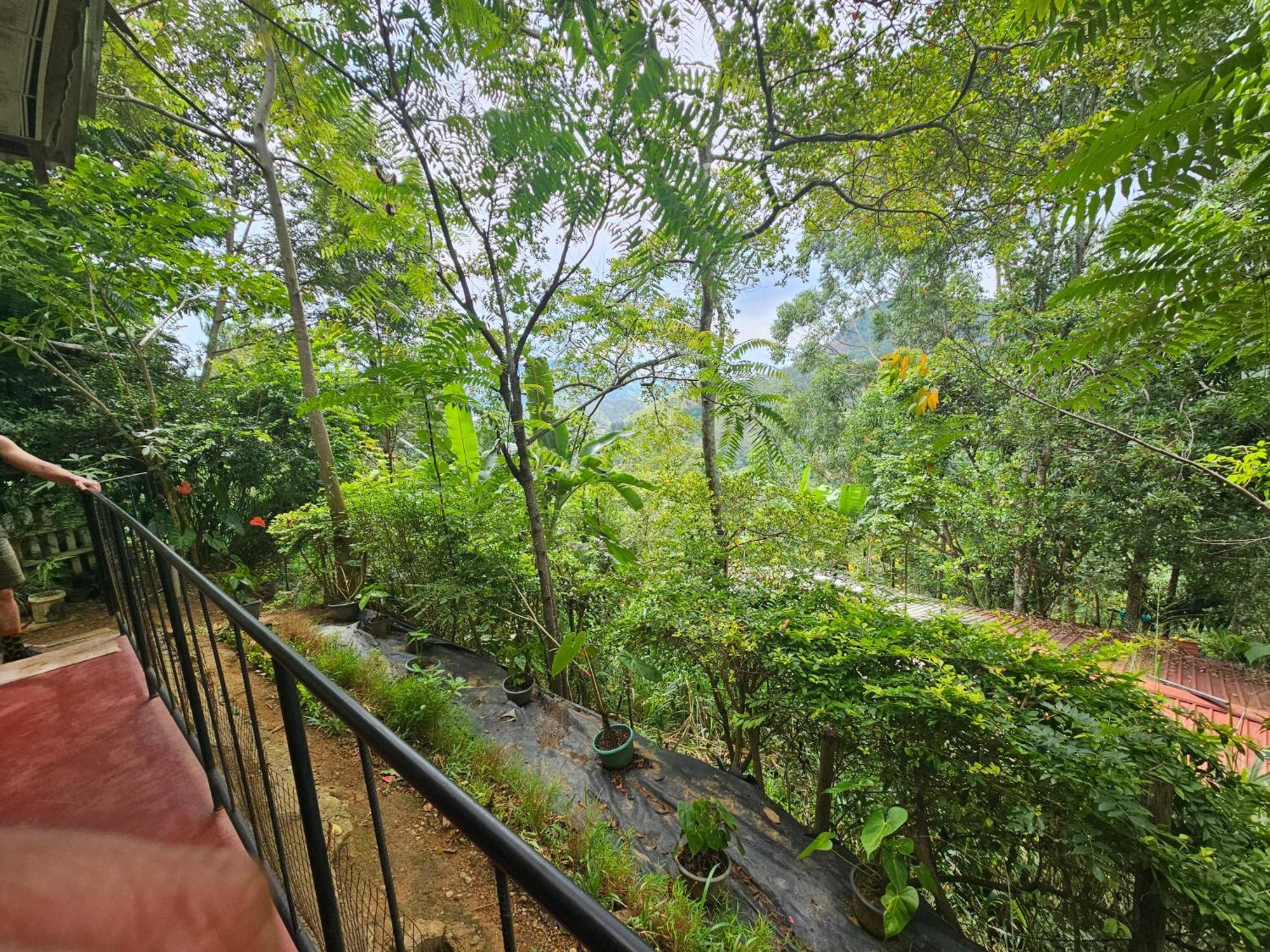 Opal Cottage Ella Bagian luar foto