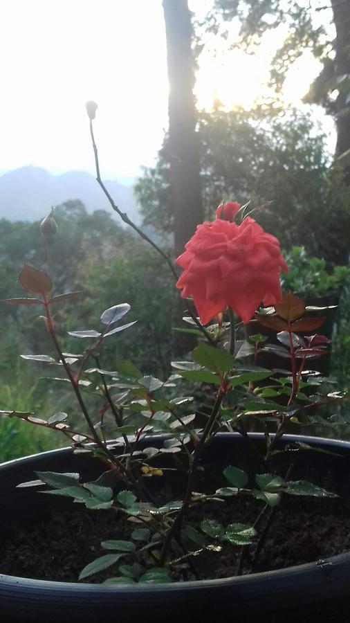 Opal Cottage Ella Bagian luar foto